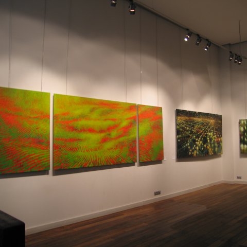 2009. Volga Gallery. Moscow, Russia